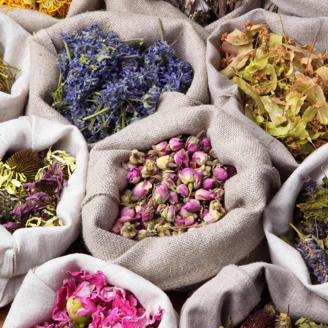 7 Popular Herbs for wellness